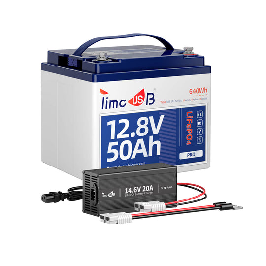 Timeusb 12V 50Ah lithium ion battery Pro with 12V 20A lithium battery charger