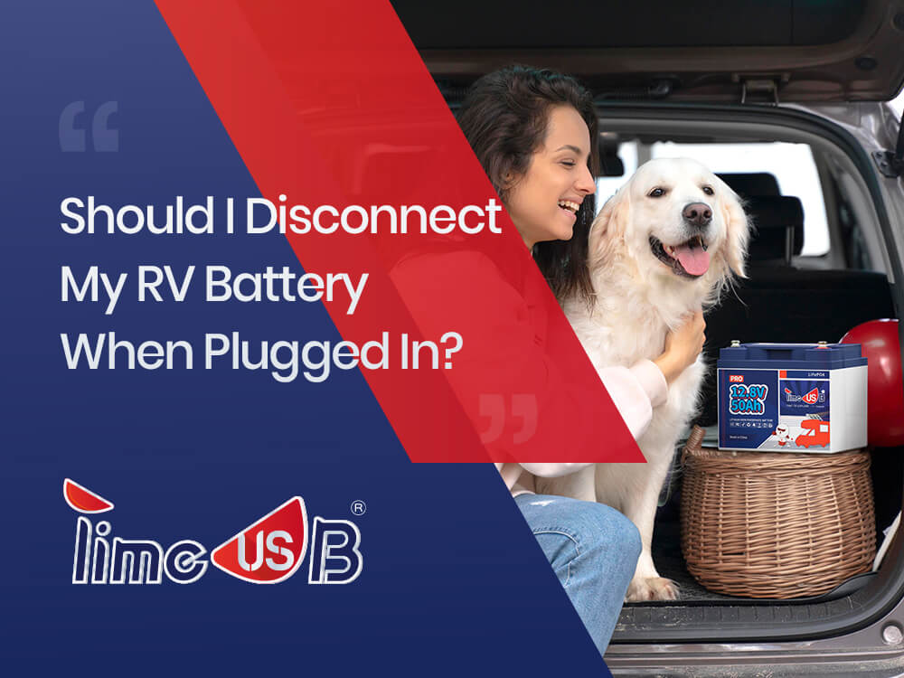 Should I Disconnect My RV Battery When Plugged In?