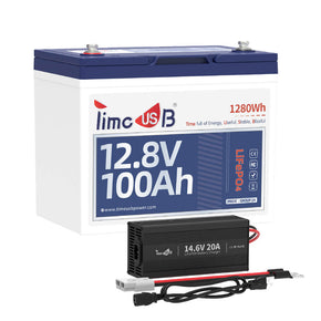 12V 100Ah Group 24 New Lithium Battery with 14.6V 20A Charger