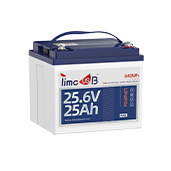 24V 25Ah
