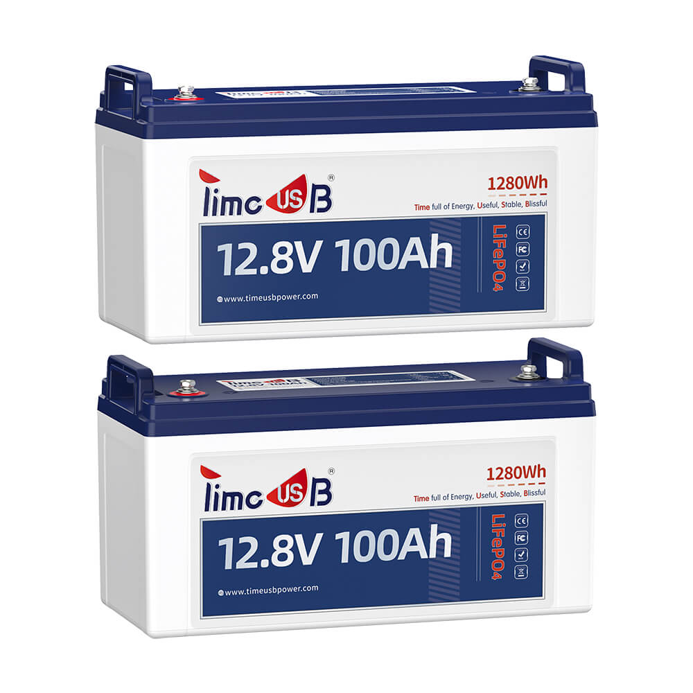 2 pack Timeusb 12V 100Ah lithium battery basic
