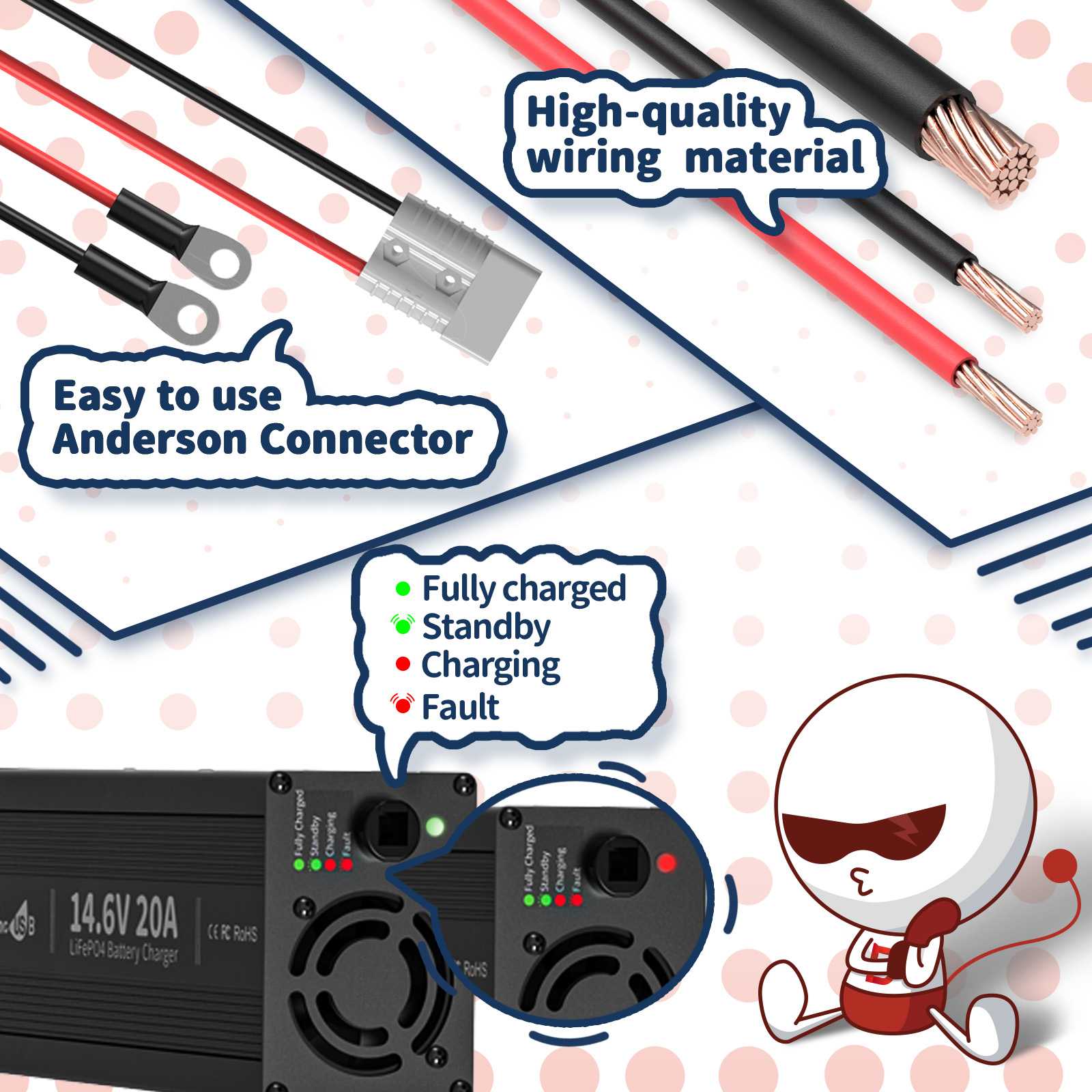 Timeusb 14.6V 20A Fast Charging LiFePO4 Battery Charger with high-quality material