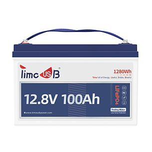 12V 100Ah Pro
