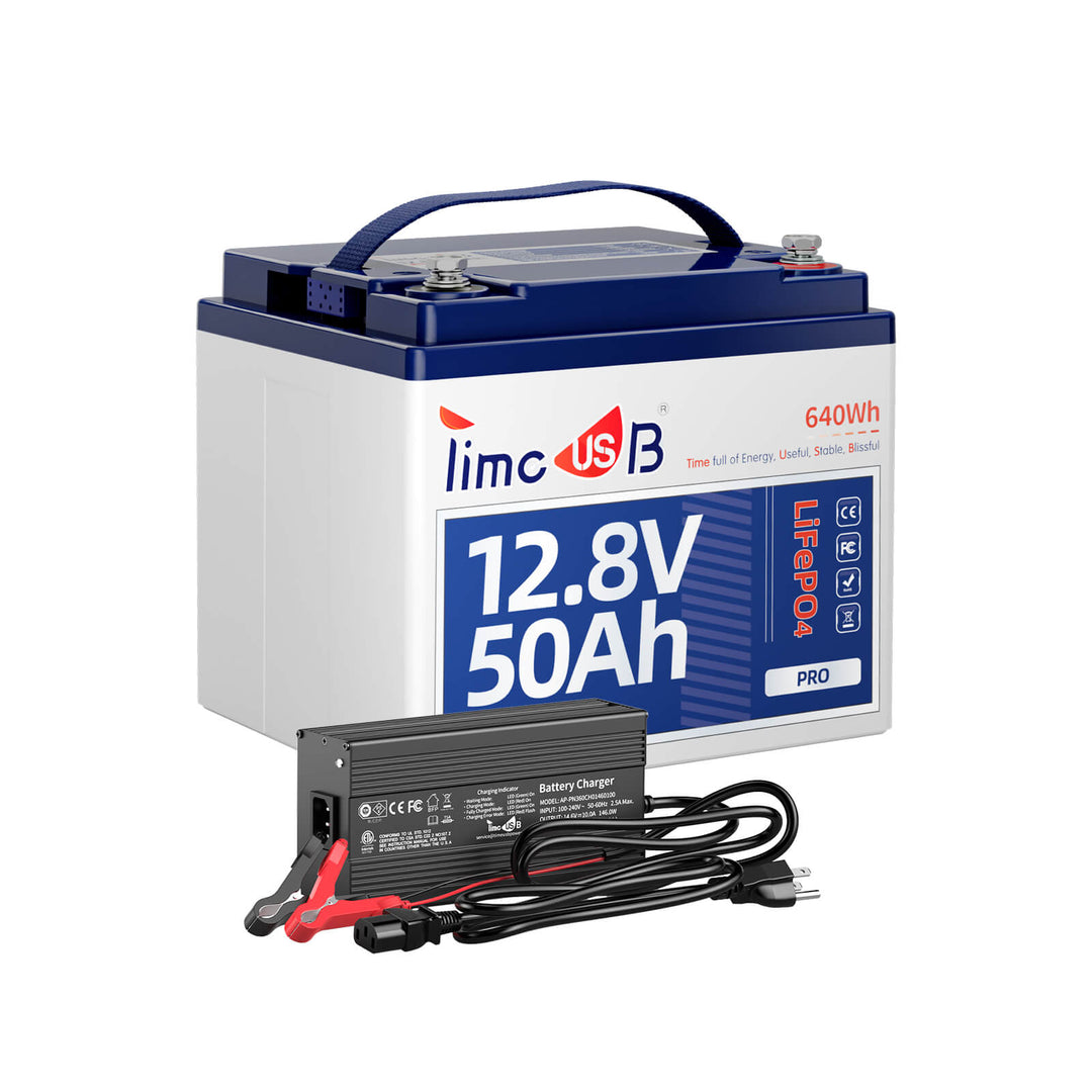 Timeusb 12V 50Ah lithium ion battery Pro with 12V 10A lithium battery charger