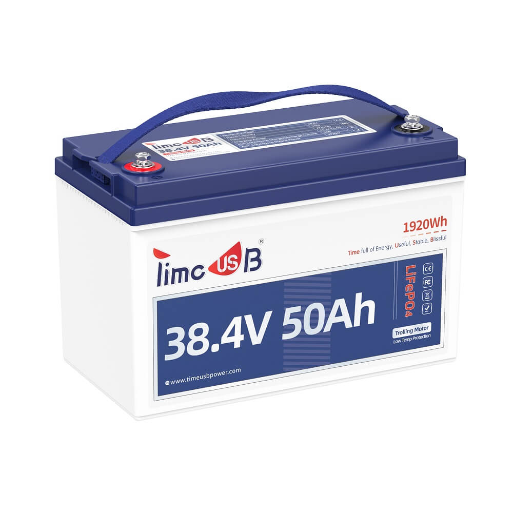 Li Time 36v 36V - 48V Lithium ion battery | Timeusb-US