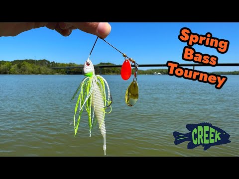 Second-Hand-Timeusb 12V 100Ah LiFePO4 RV Battery Pro