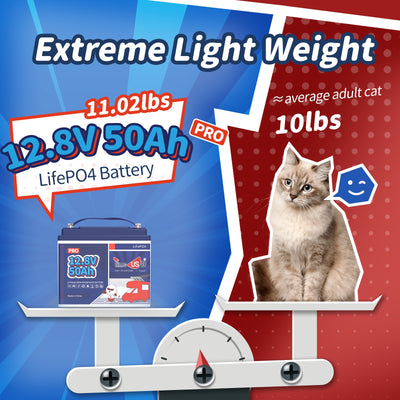 Timeusb 12V 50Ah LiFePO4  Battery| 640Wh & 640W | 50A BMS
